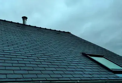 démoussage de toiture Plesse-5